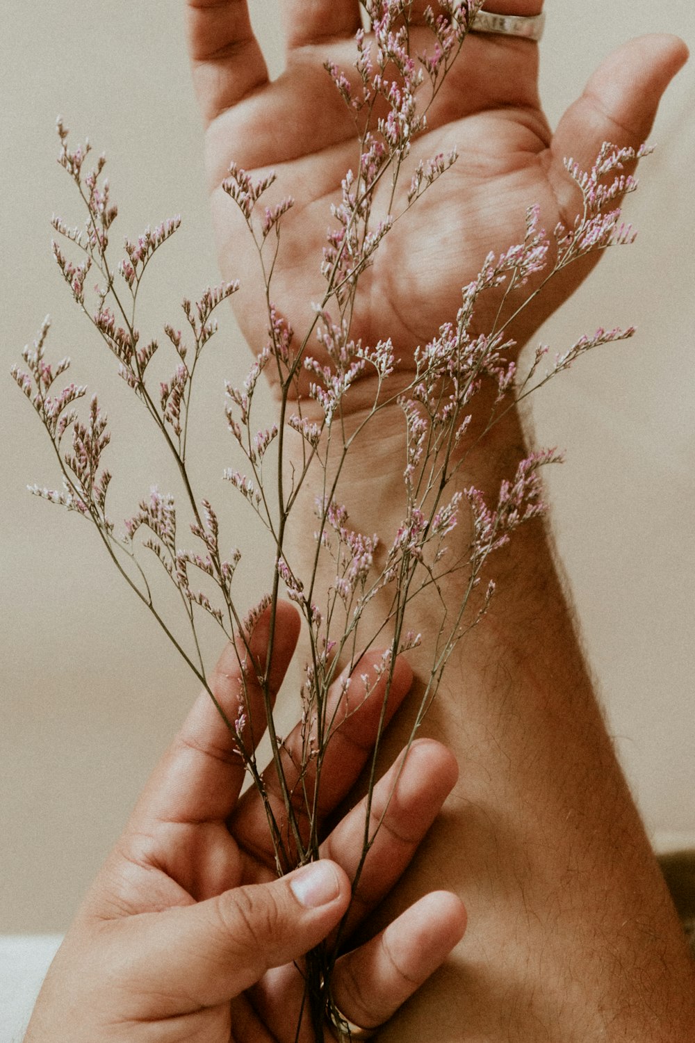 person holding white flower petals