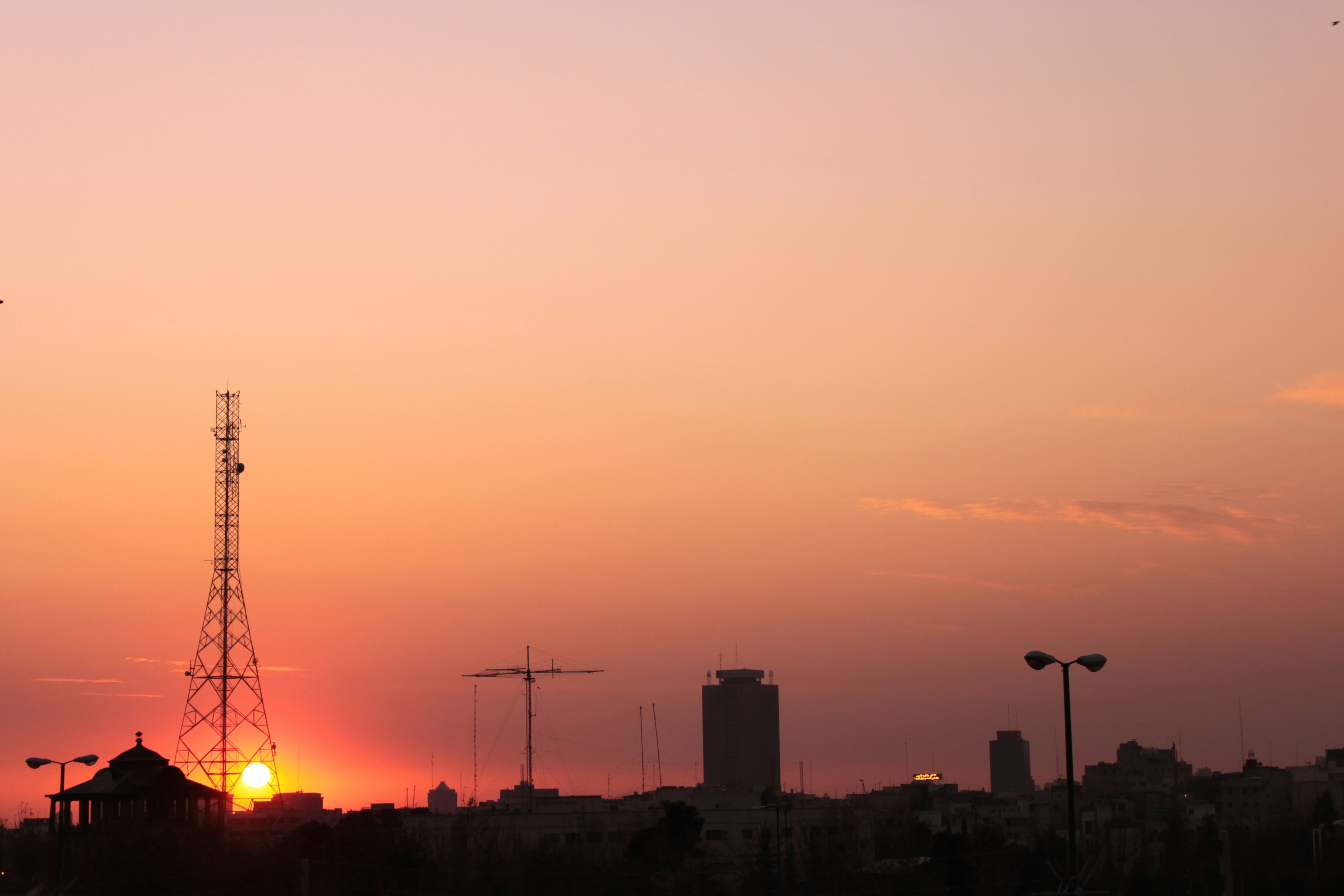 Photo by saeedfarahani