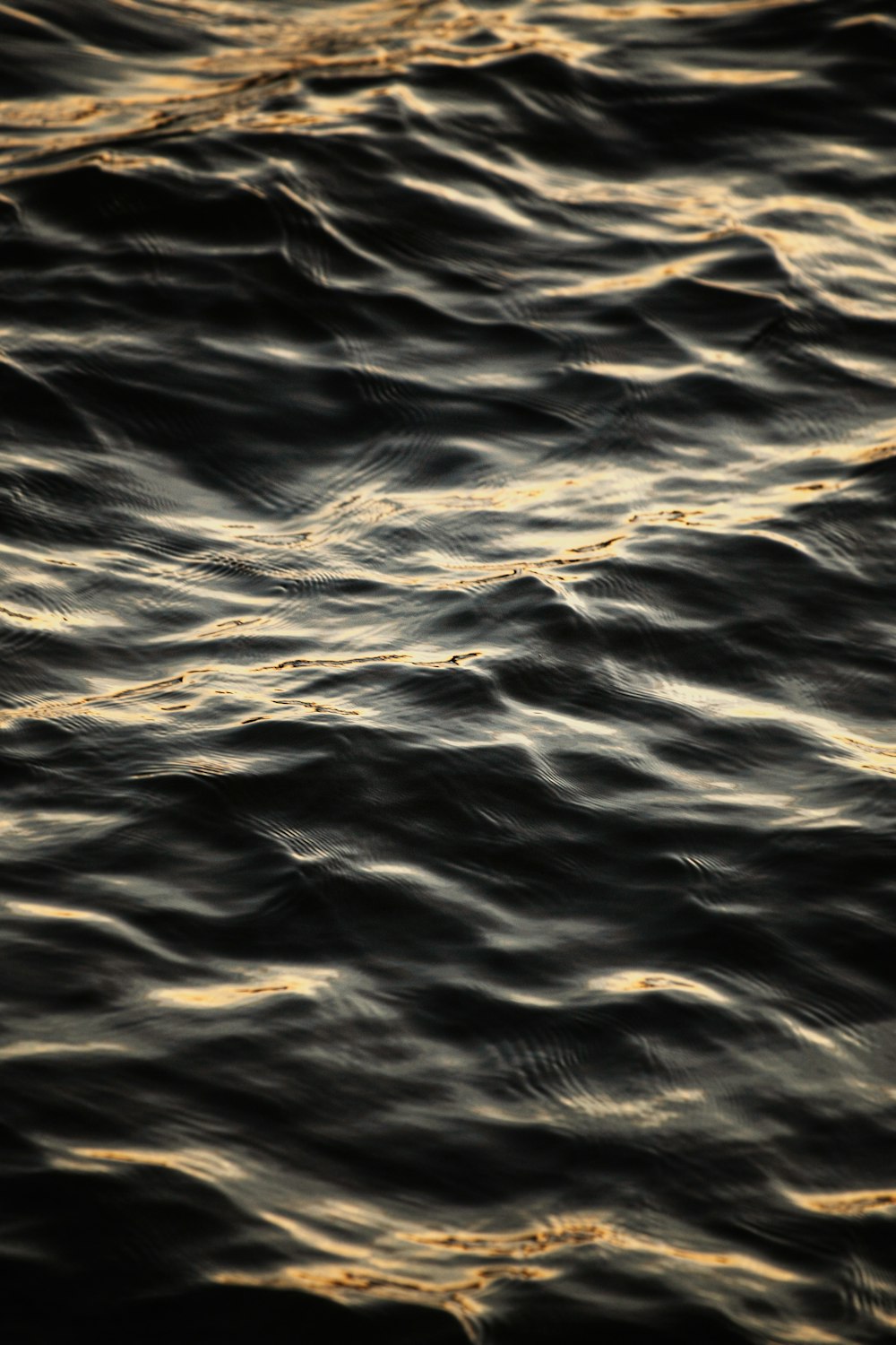 close up photo of body of water