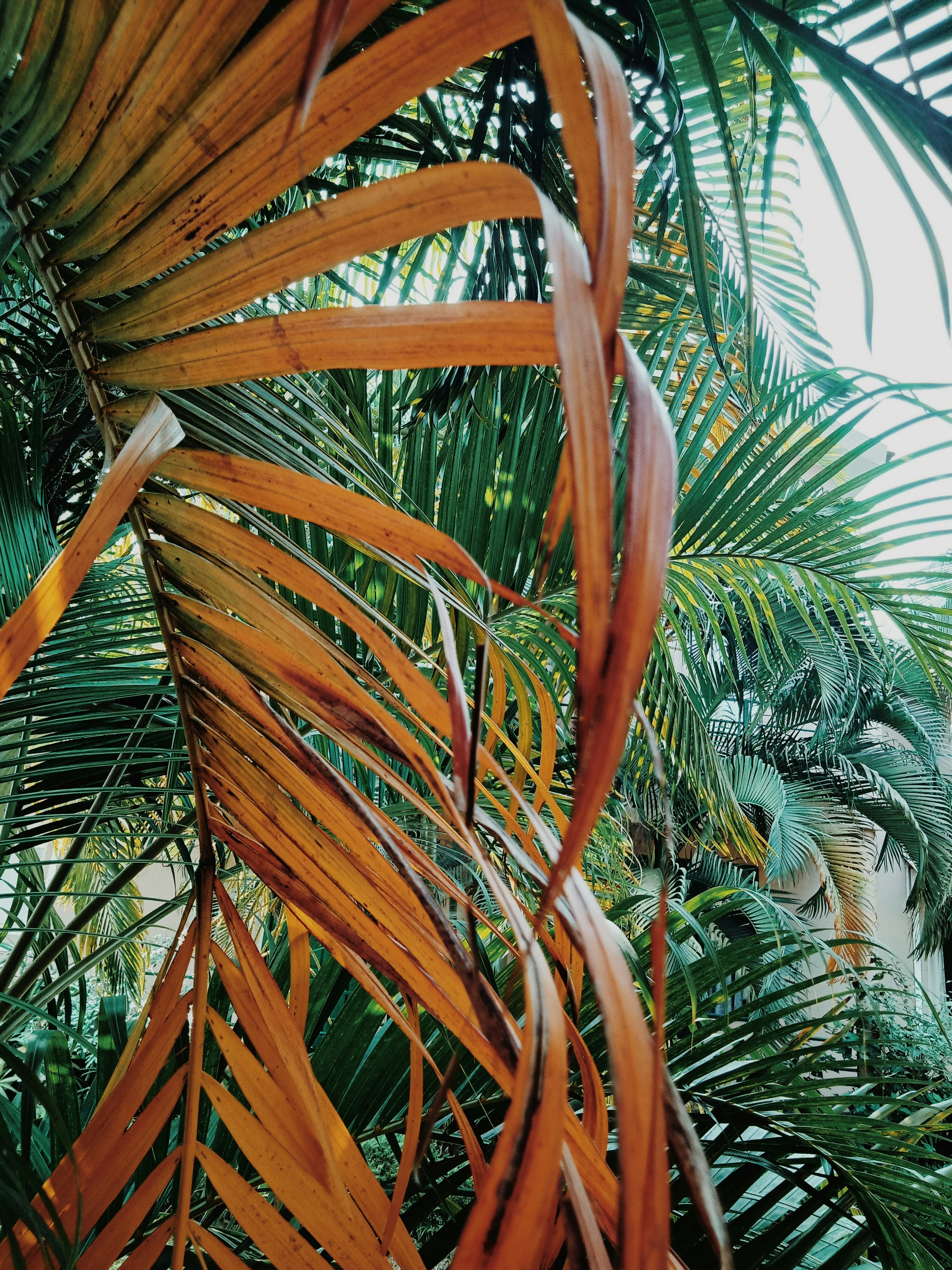 Photo by maggonanmol