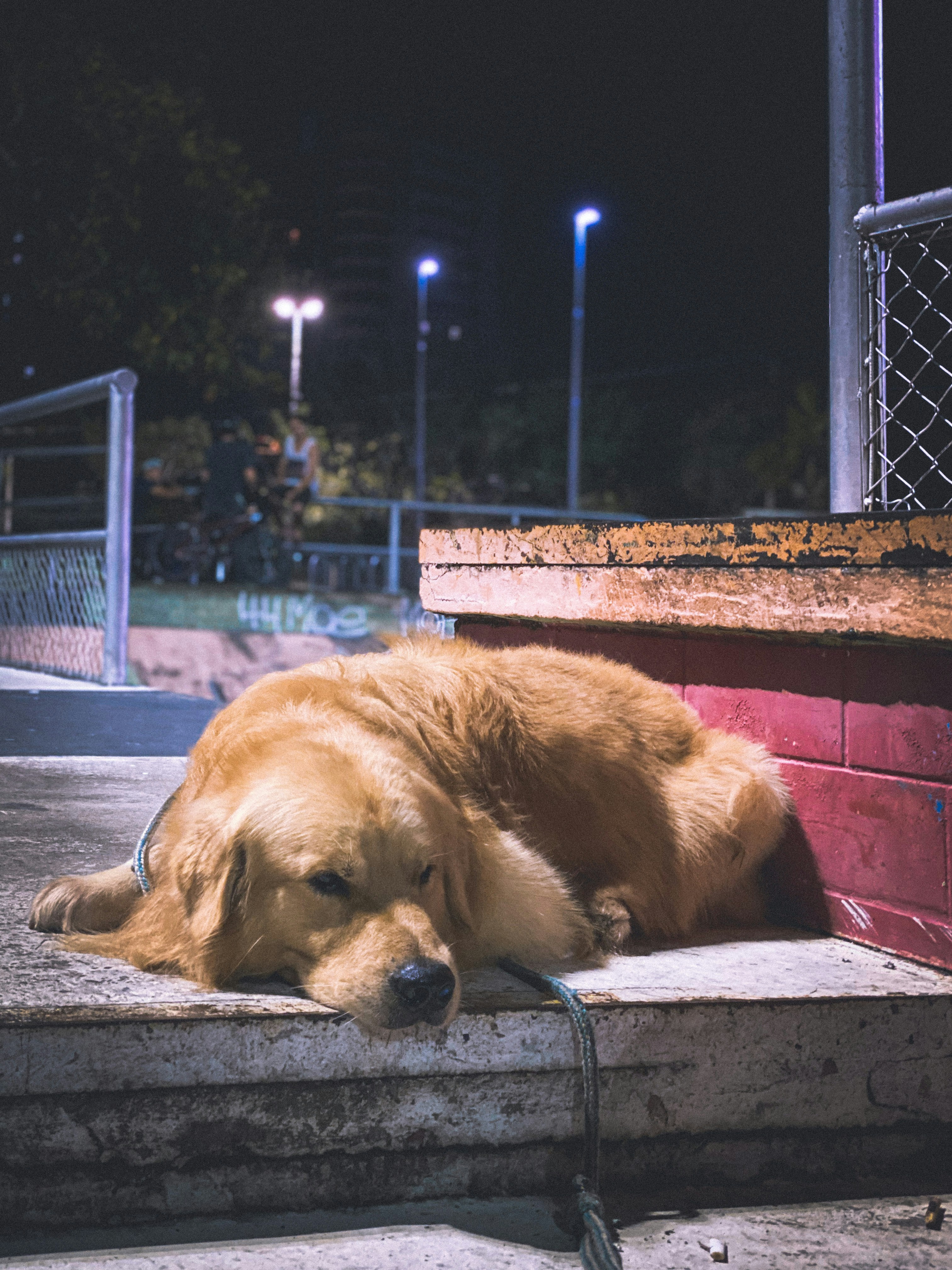 Sleeping on the River