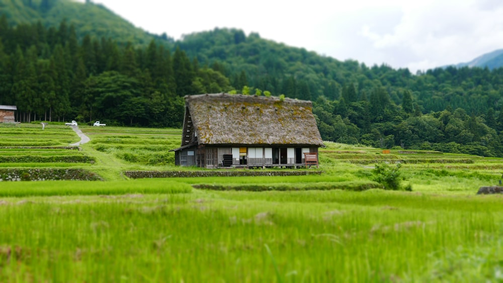 Casa de madera marrón en un campo de hierba verde cerca de árboles verdes durante el día