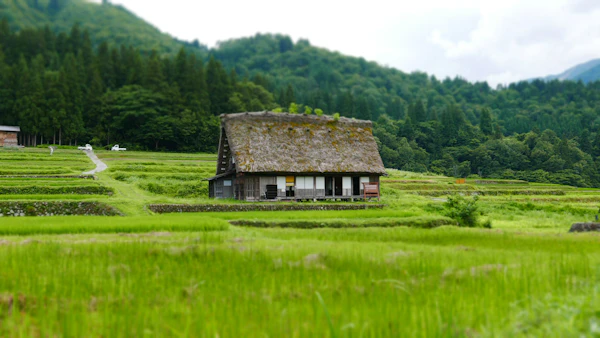 Maison traditionnelle en bois dans le village de Shirakawa-gō, Japon
