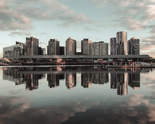 city skyline across body of water during daytime in Docklands Park Australia