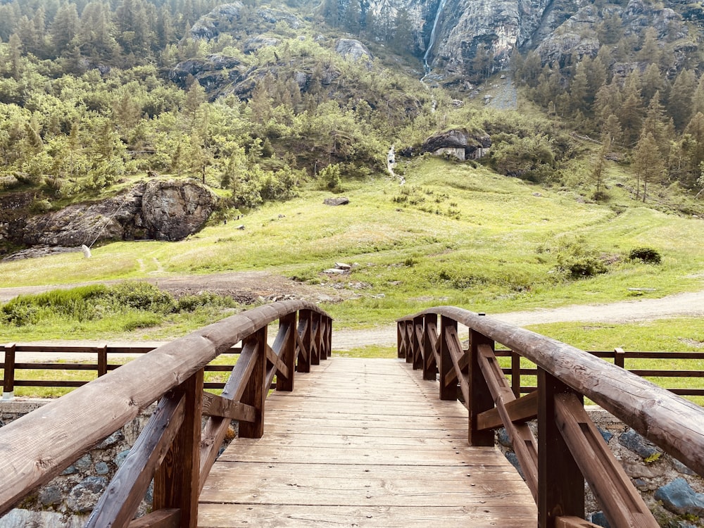 brown wooden bridge on green grass field during daytime