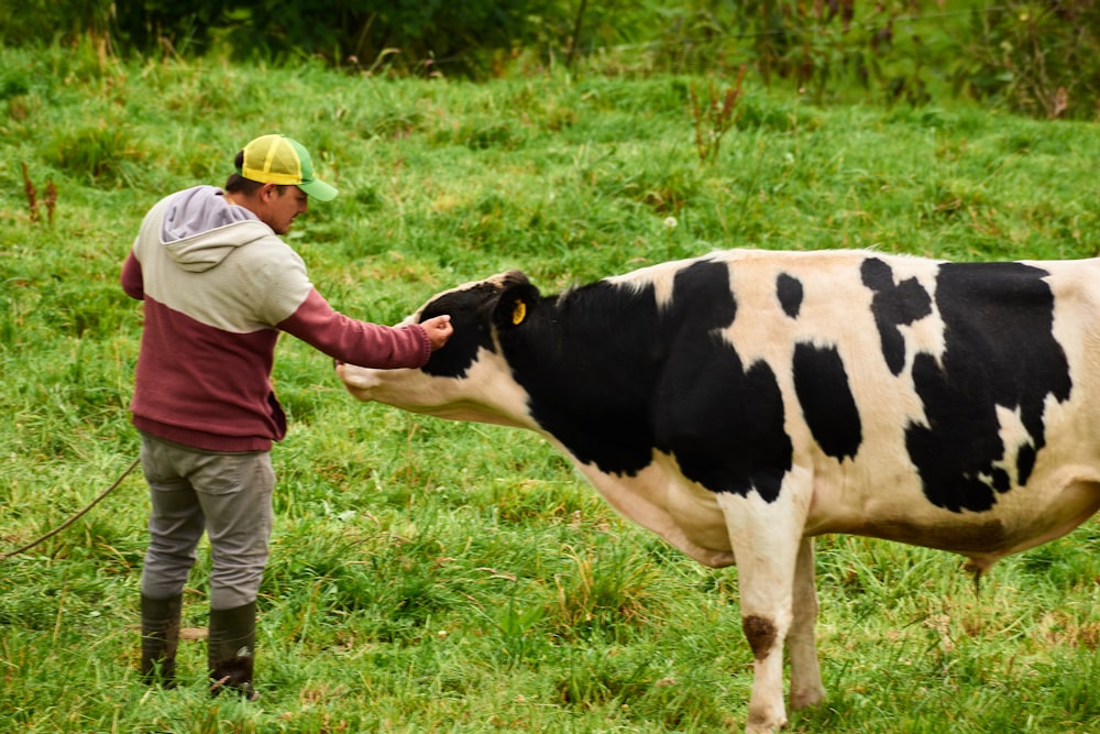 boy in blue jacket standing beside cow on green grass field during daytime