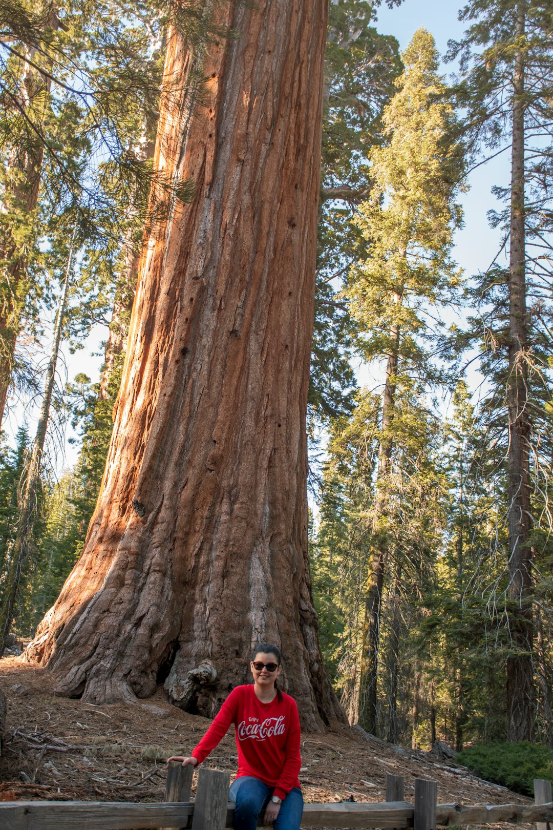 man in black jacket standing in front of brown tree