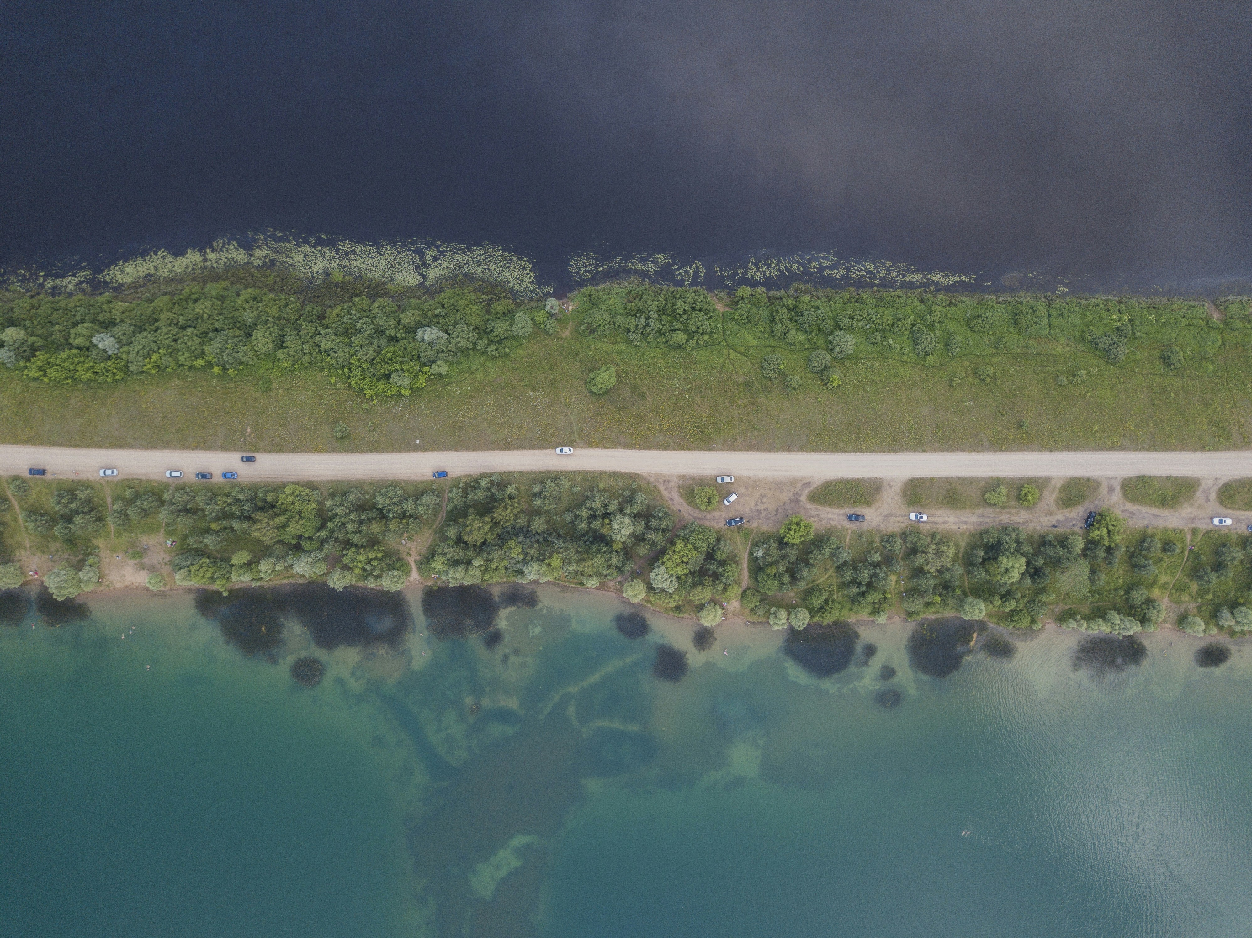 aerial view of green trees and body of water during daytime