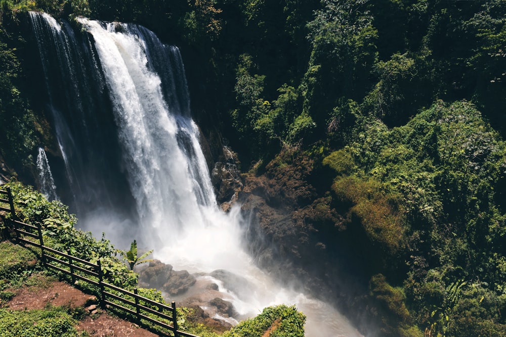 waterfalls in the middle of green trees