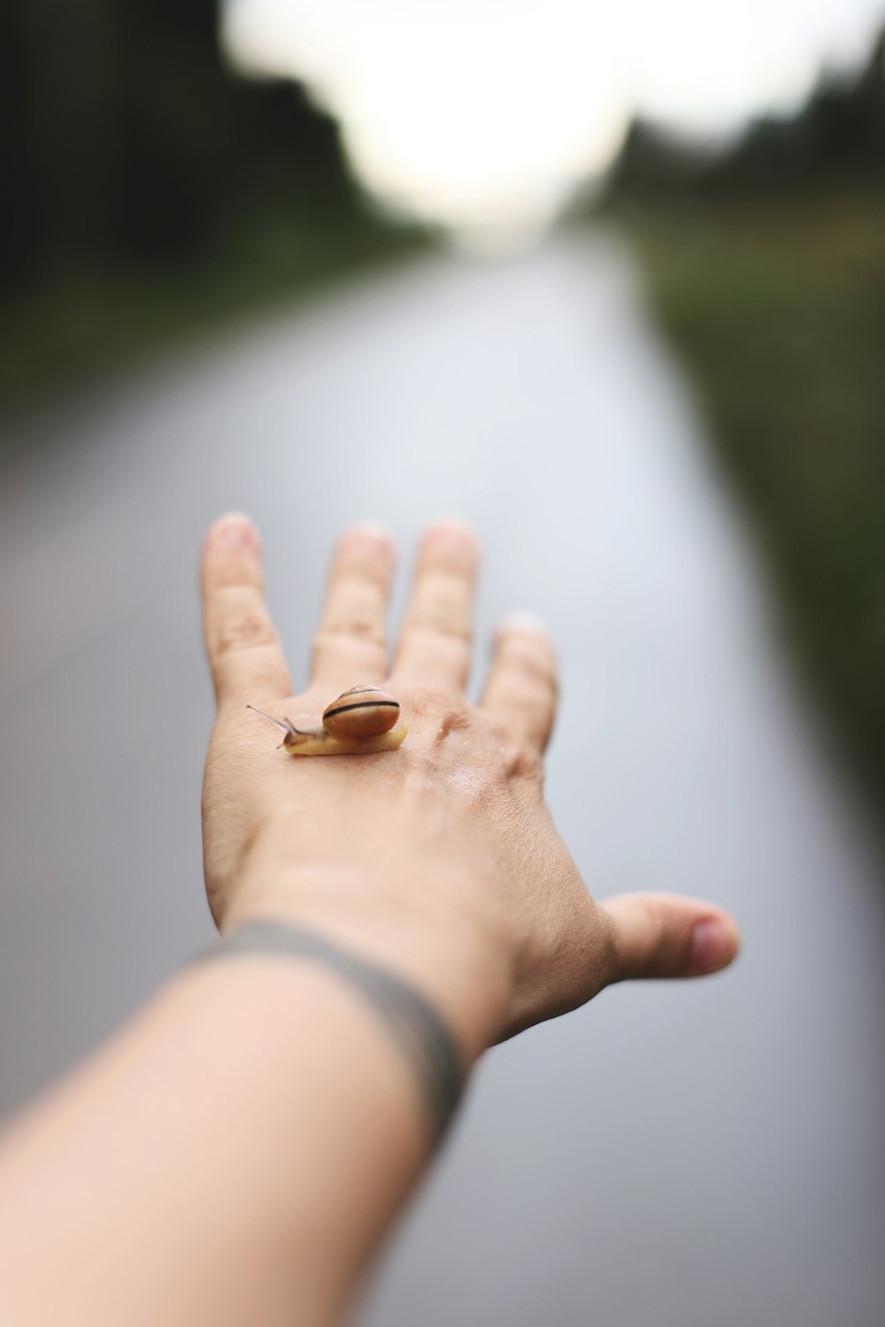 person wearing gold ring with brown stone on left hand