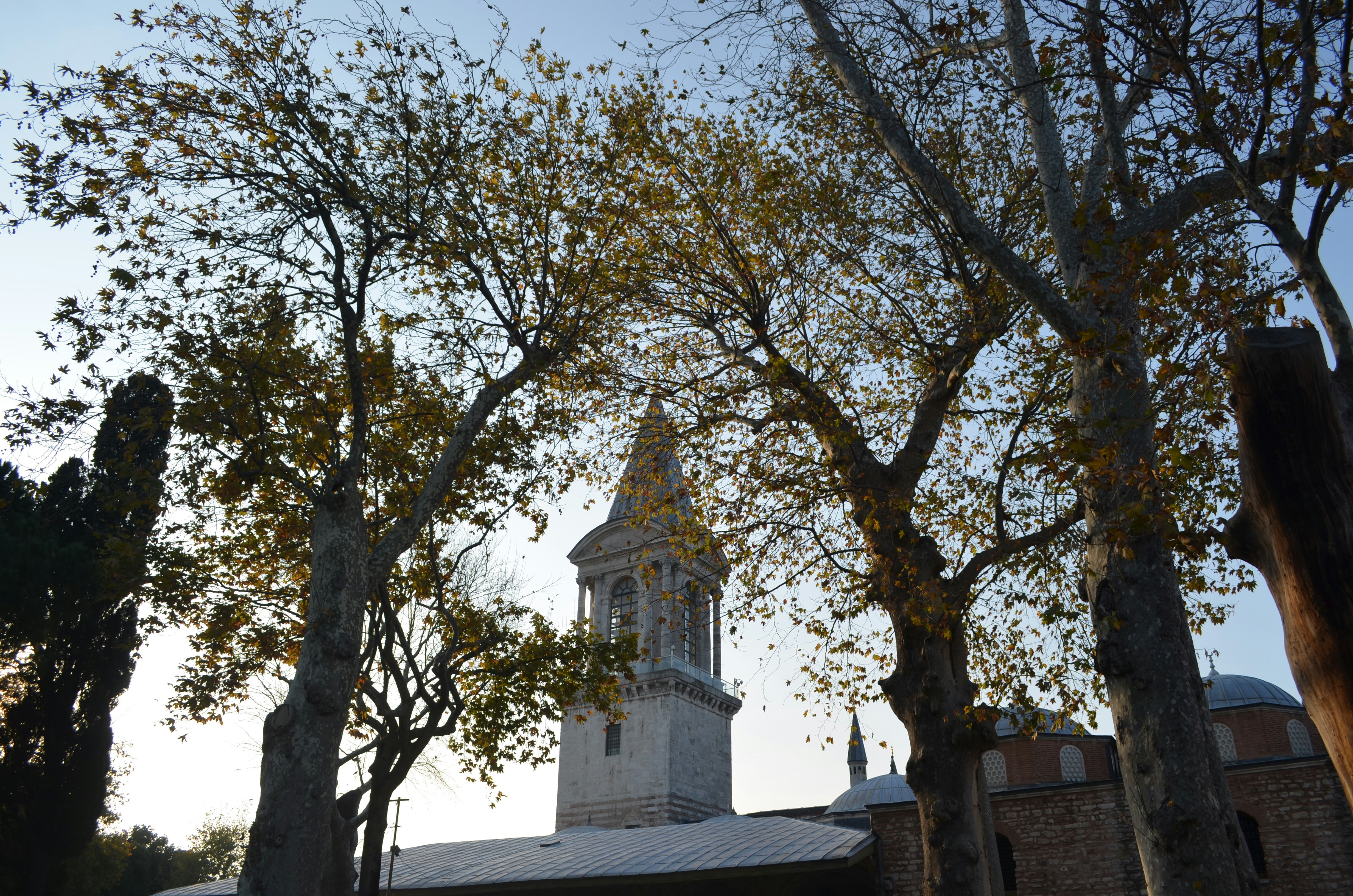 Photo by beyzasemin
