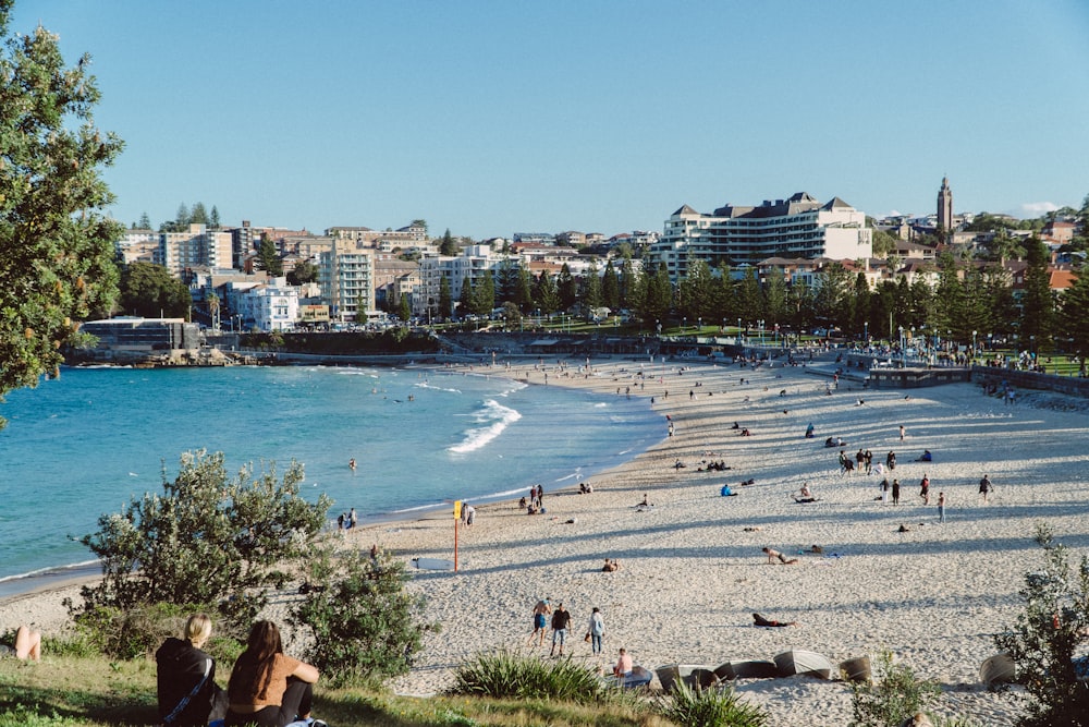 people on beach during daytime