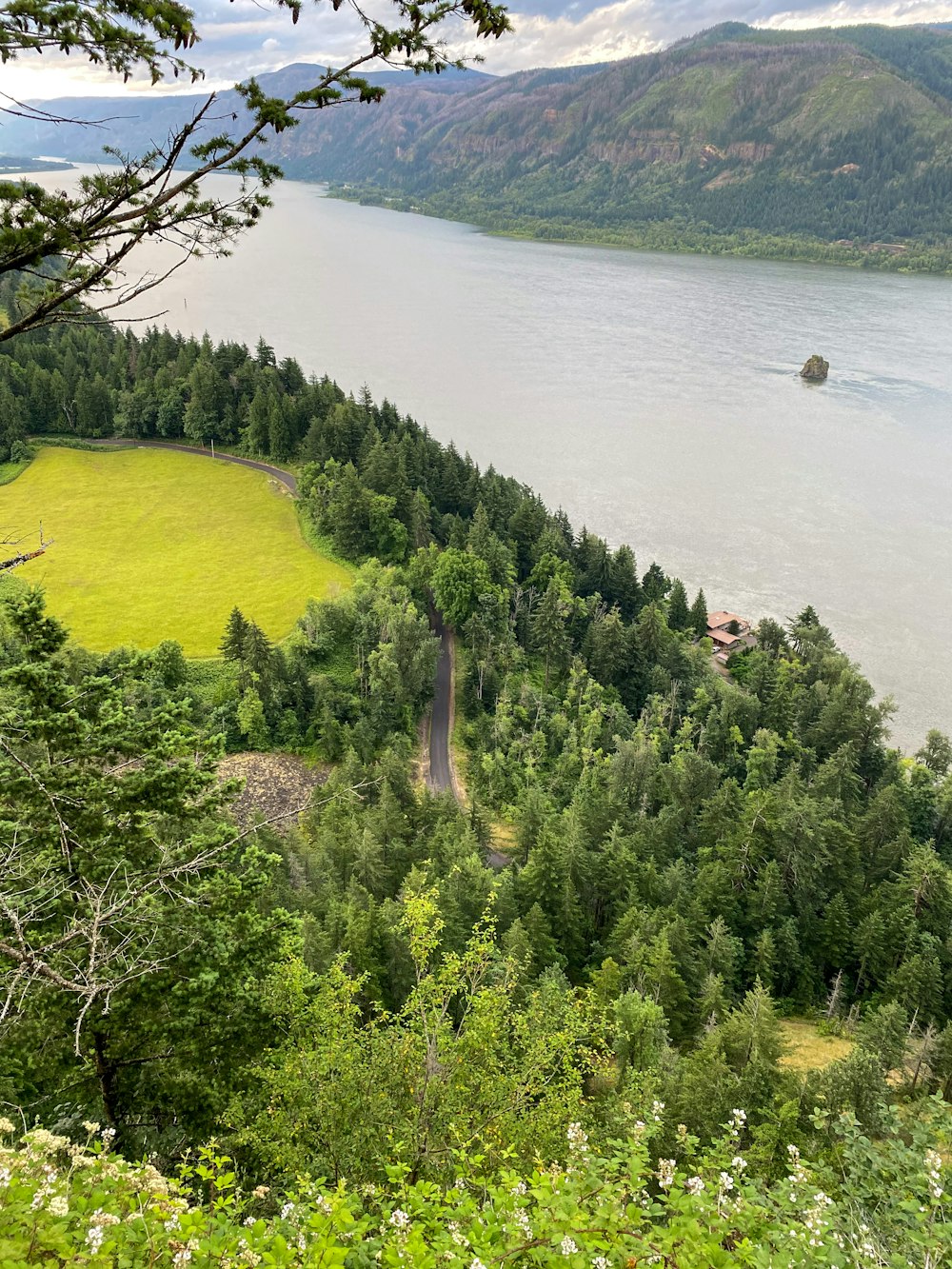 Vue aérienne d’arbres verts près d’un plan d’eau pendant la journée