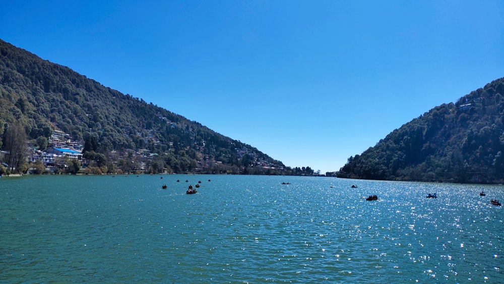 corpo d'acqua vicino alla montagna durante il giorno