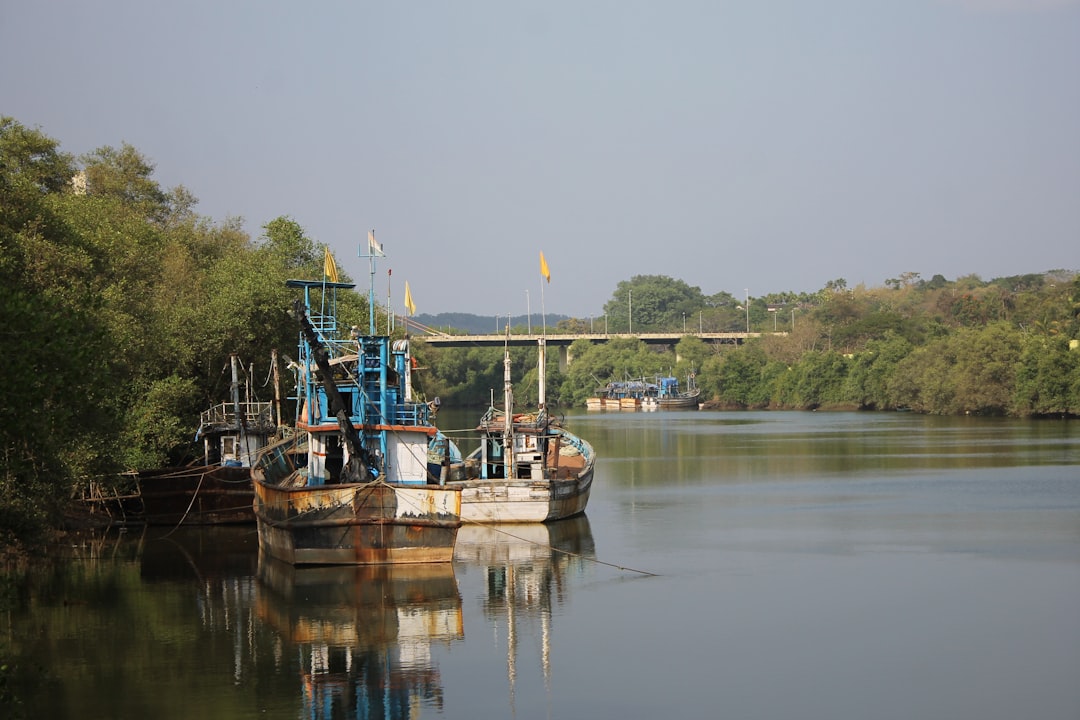 Waterway photo spot Calvim India