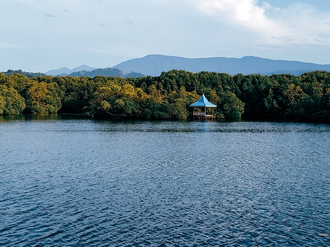 Reservoir photo spot Jayapura Jayapura