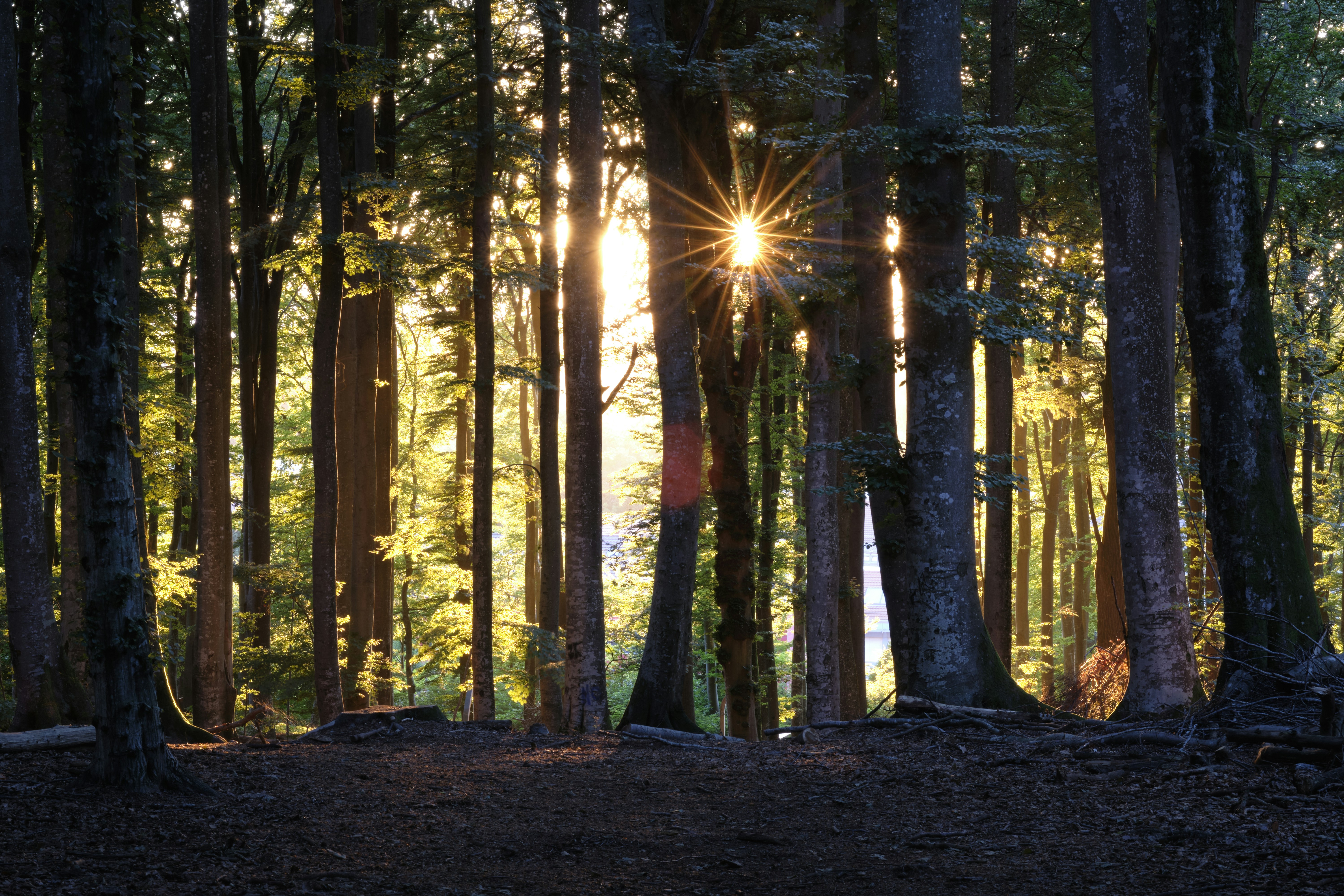 Photo by bullfishfighter