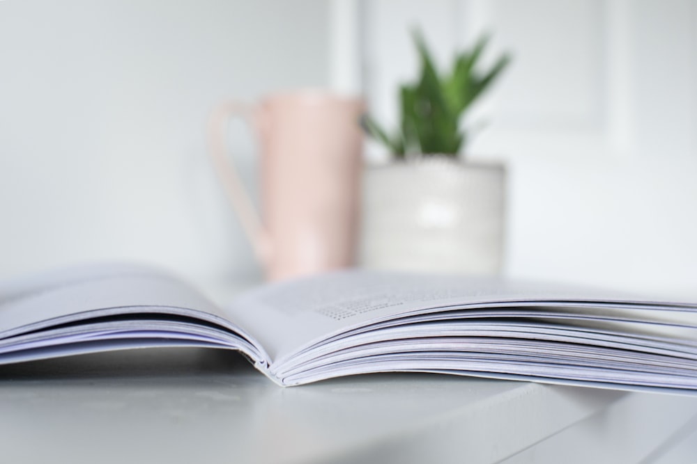 Livre blanc sur table blanche