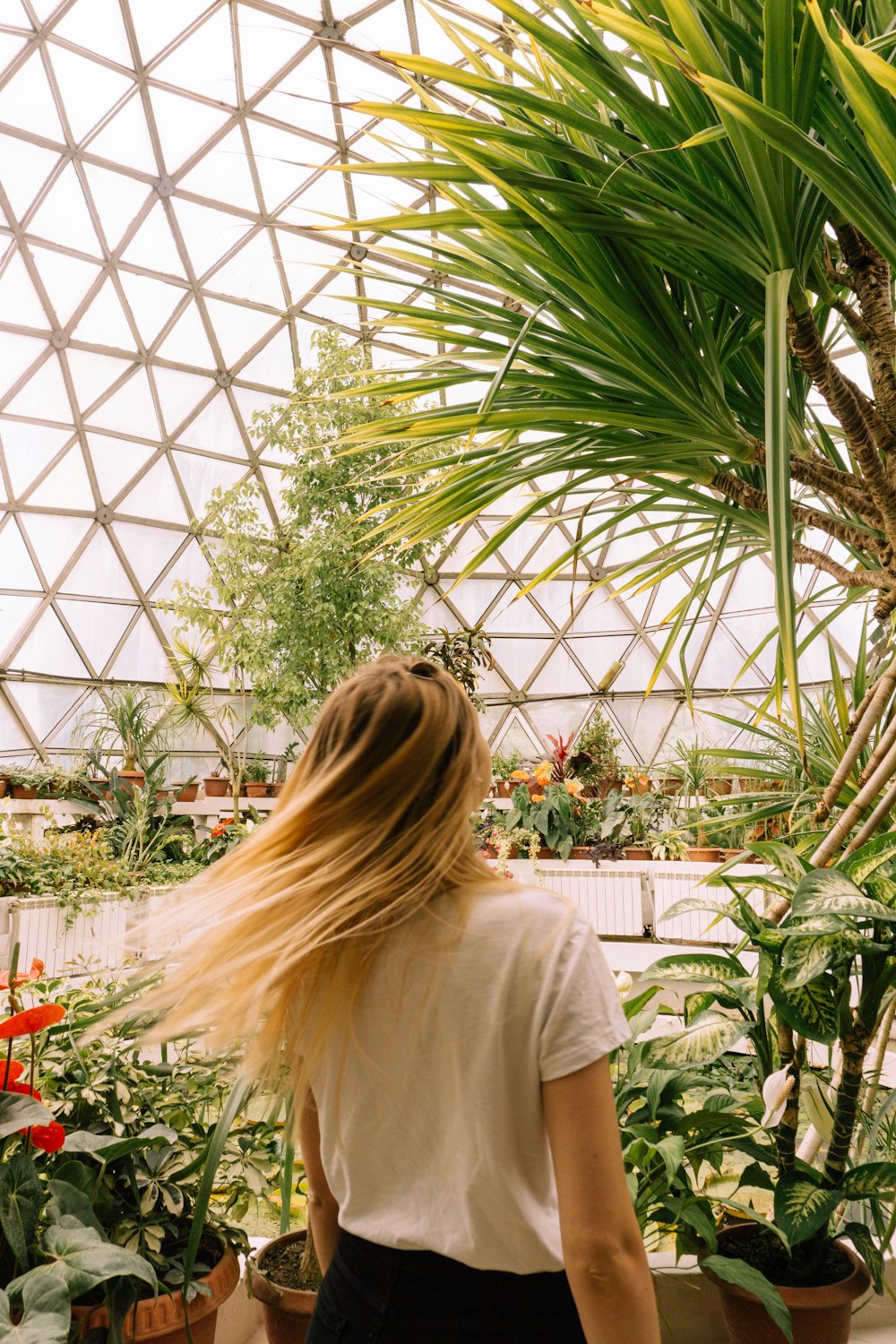 woman in white shirt standing near green plants during daytime