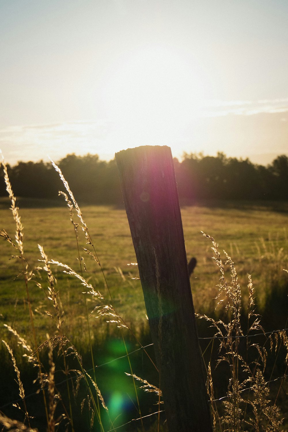 brown wooden post on green grass field during daytime