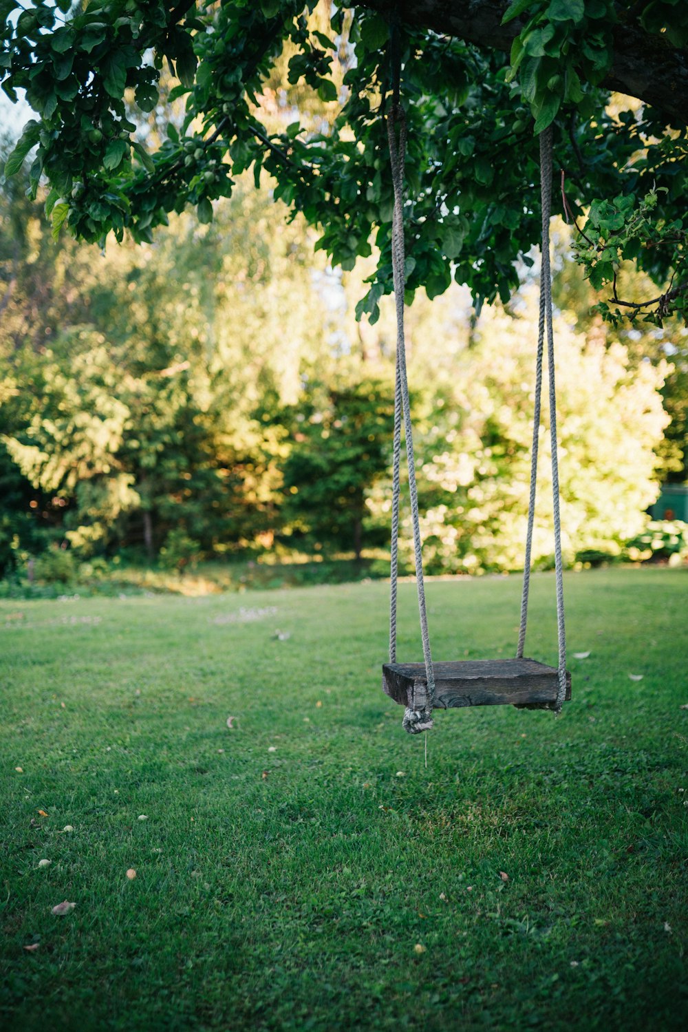brown wooden swing on green grass field during daytime