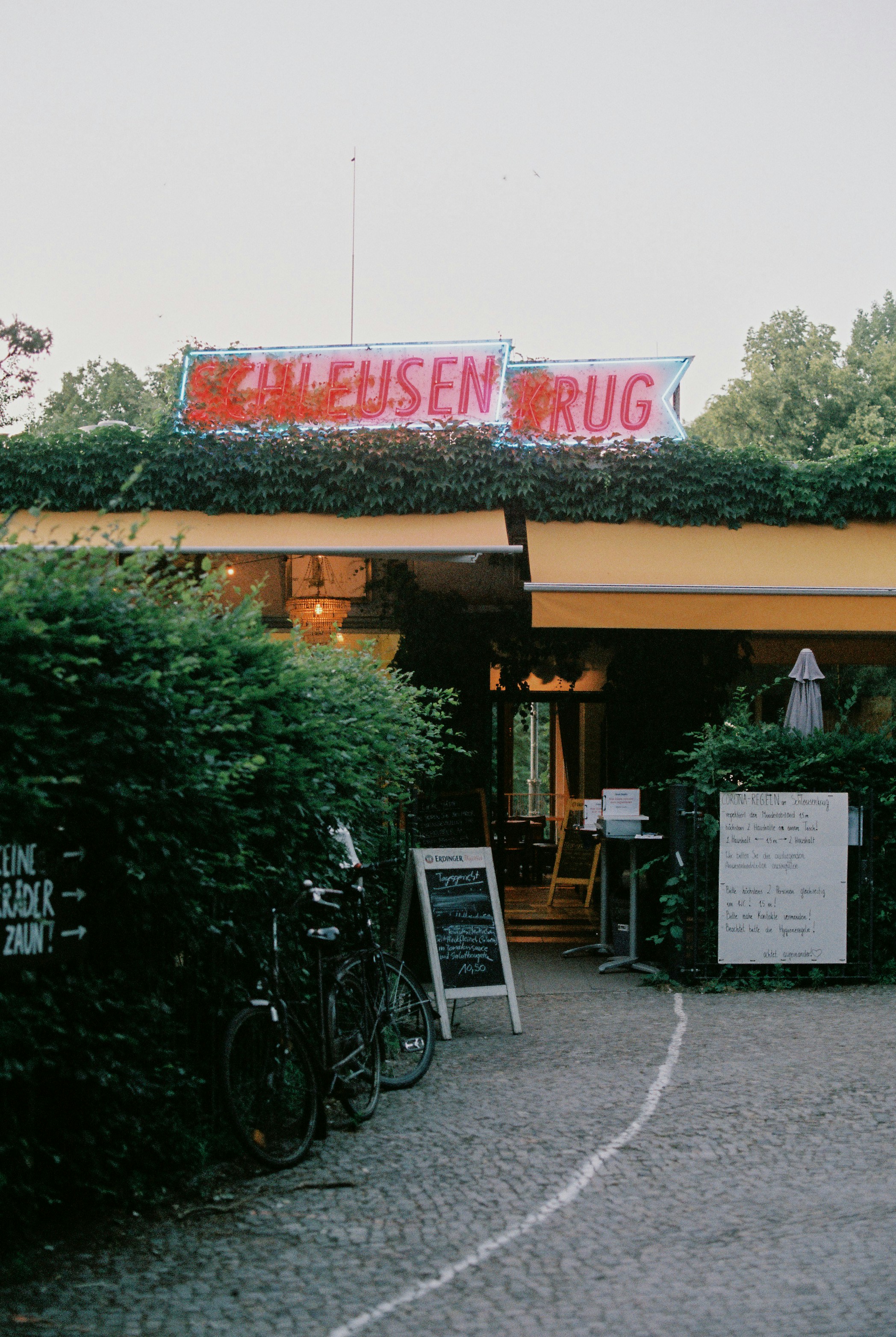 Grünpflanzen neben braunem Betongebäude tagsüber