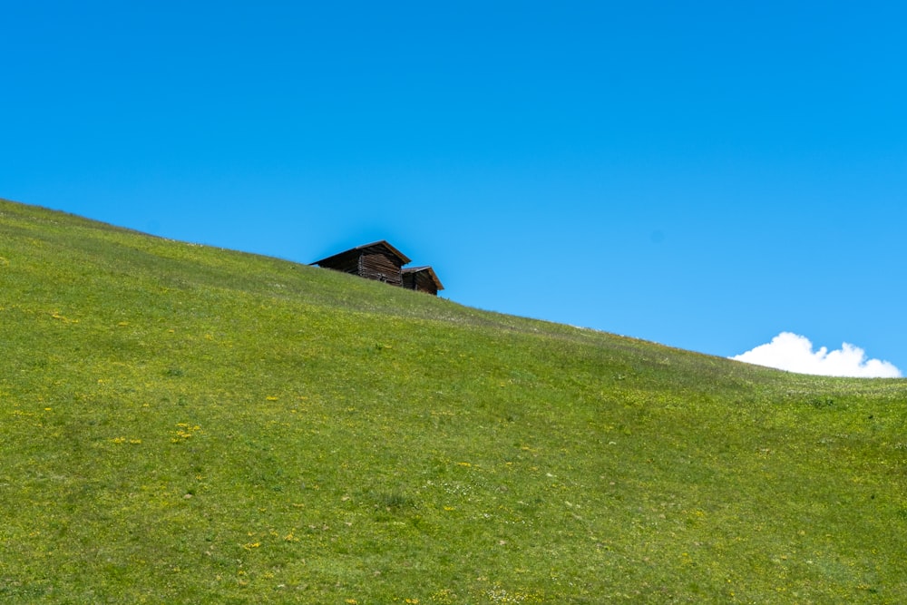 brown wooden house on green grass field under blue sky during daytime