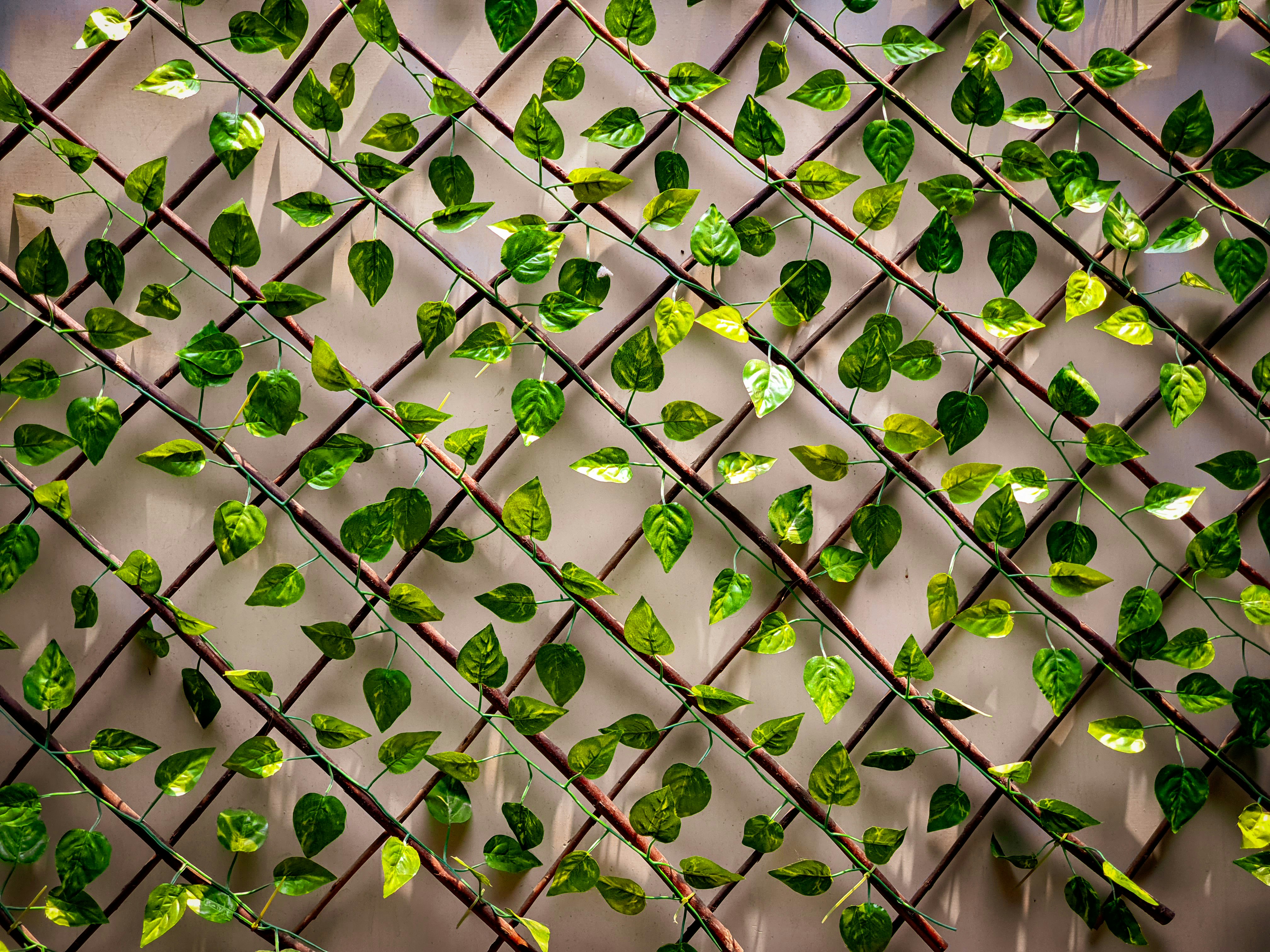 Photo by nomanshahid_