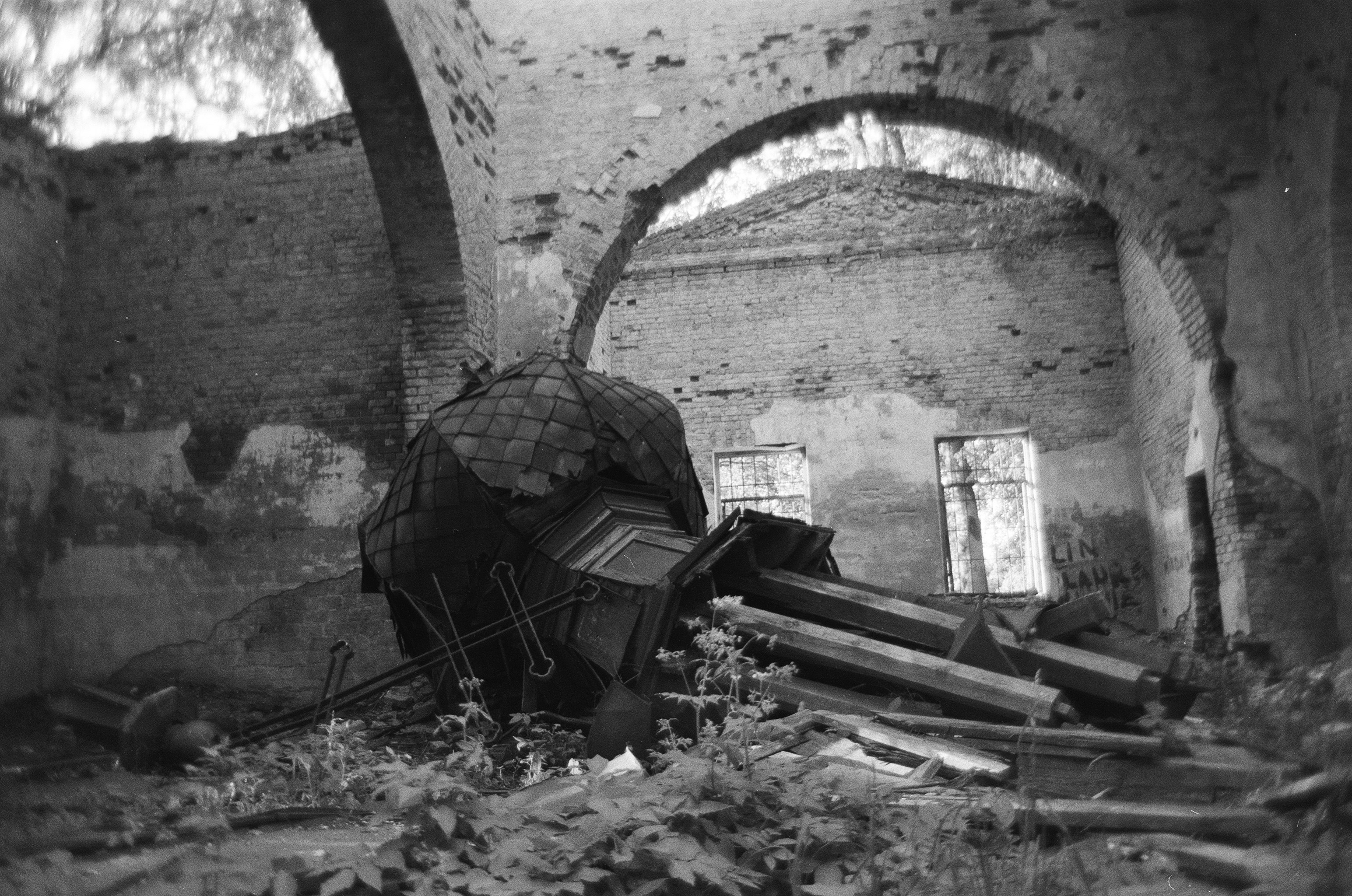 Photo by kasparseglitis