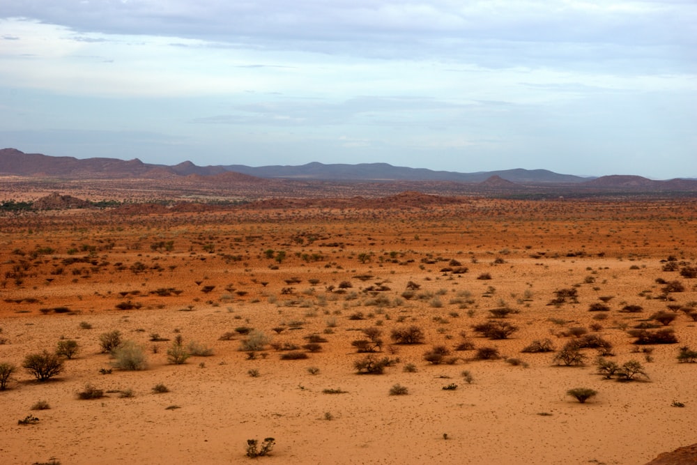 brown field under white clouds during daytime