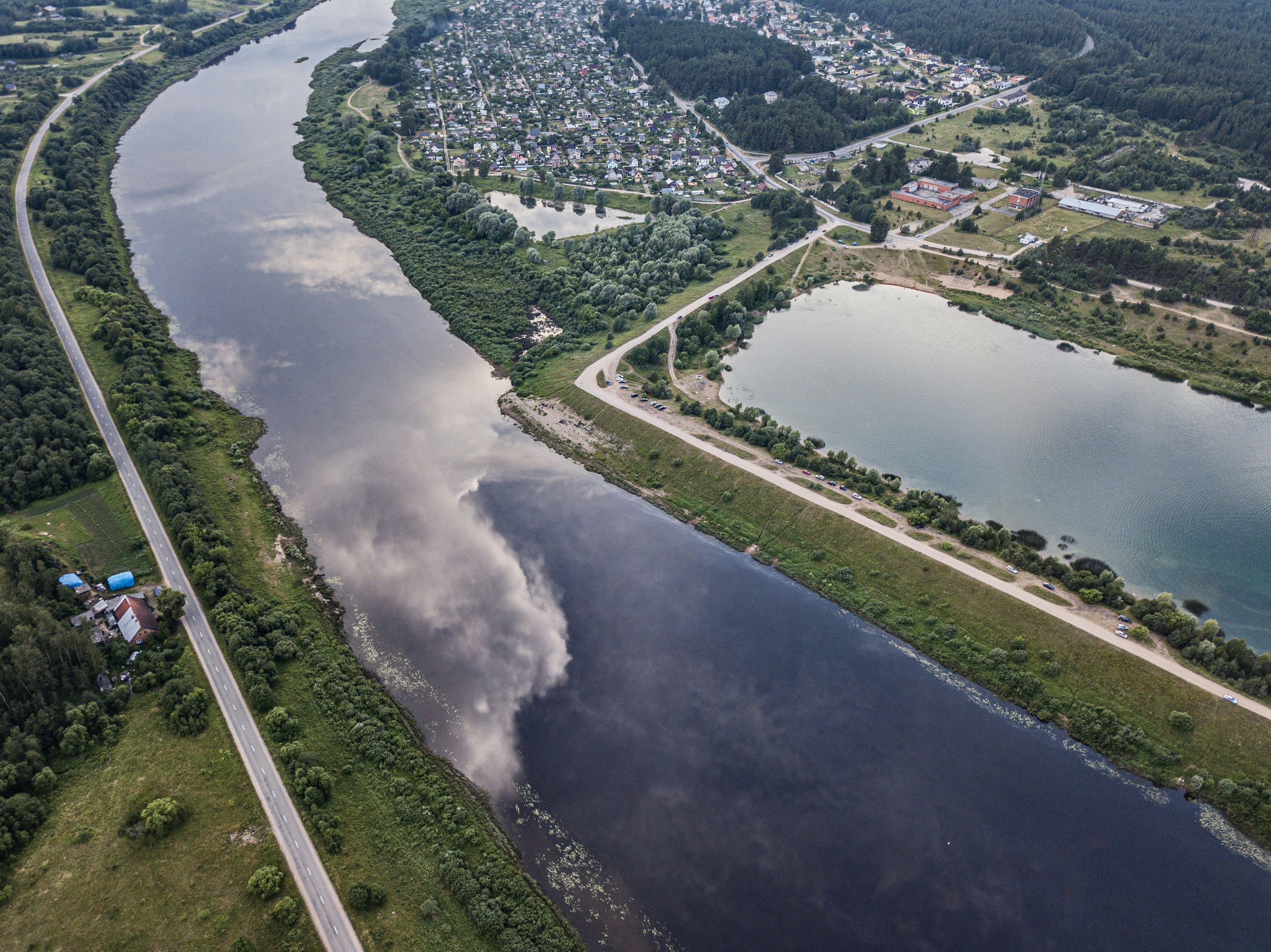 aerial view of green trees and river