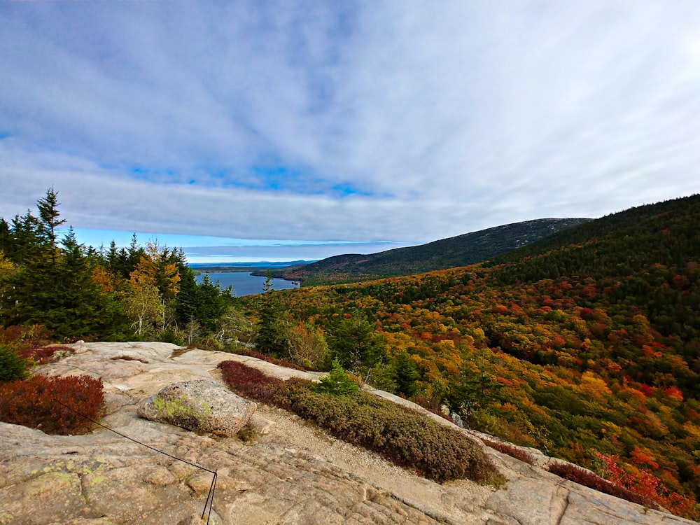 green and brown mountain near blue sea under blue sky during daytime