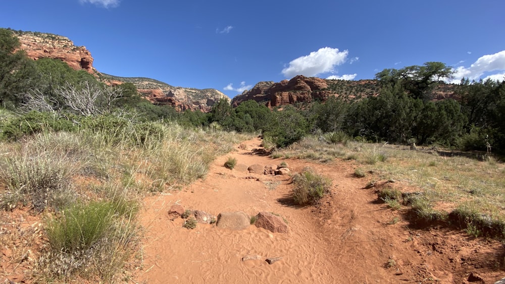 Phoenix to Grand Canyon, brown sand and green grass during daytime
