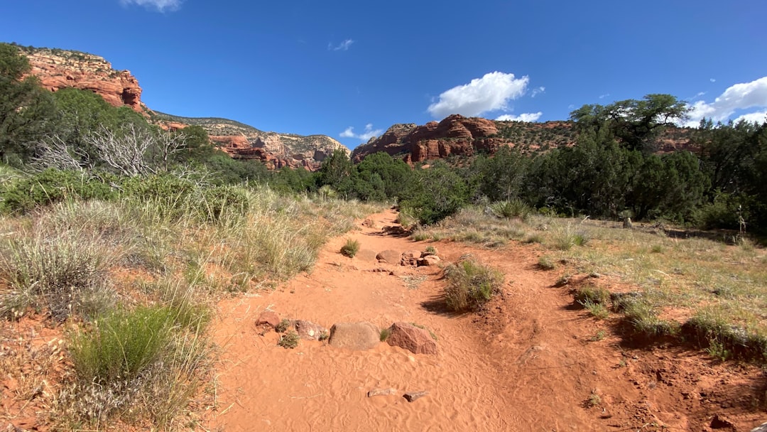 Travel Tips and Stories of Coconino National Forest in United States