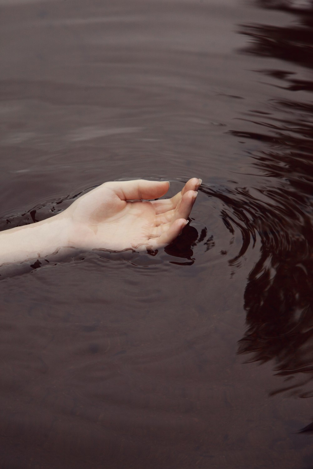 persons hand on water