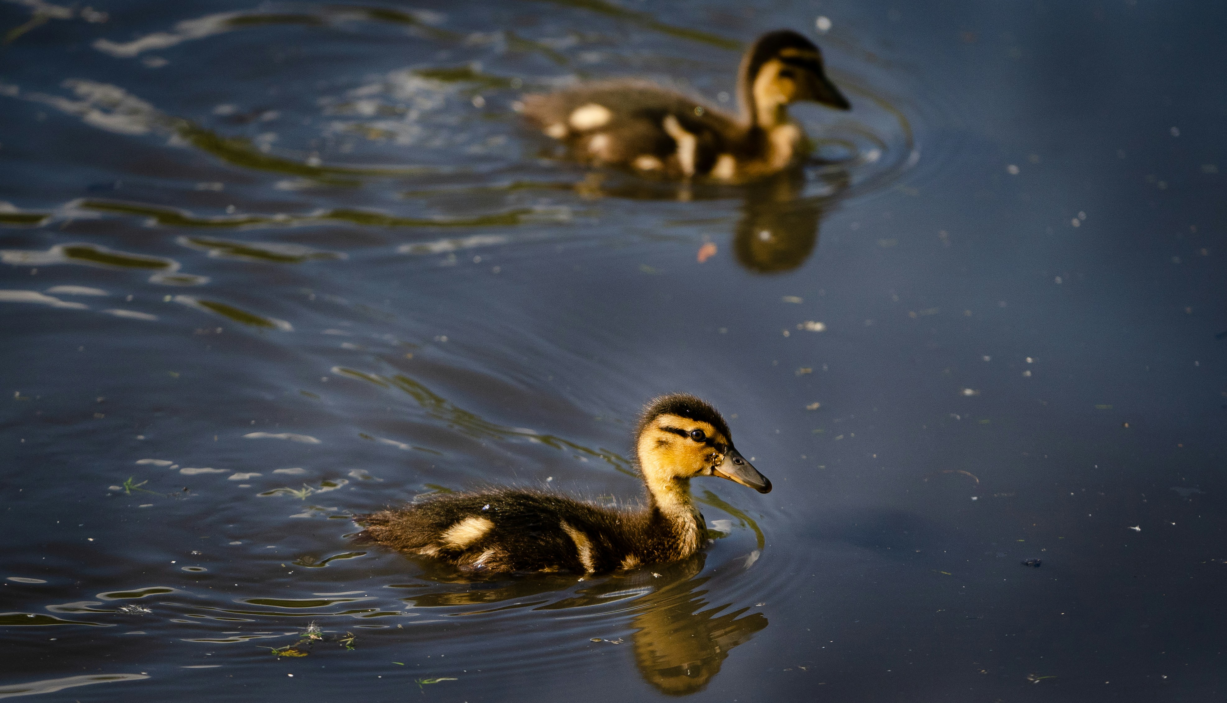 Photo by ameefairbankbrown