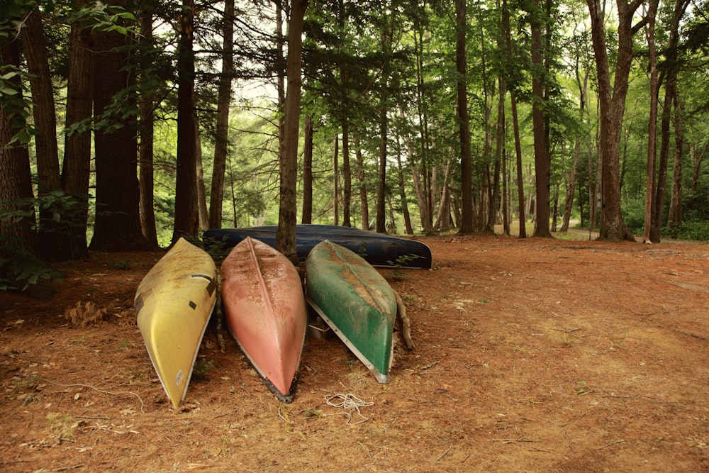 red and yellow kayak on brown field surrounded by green trees during daytime