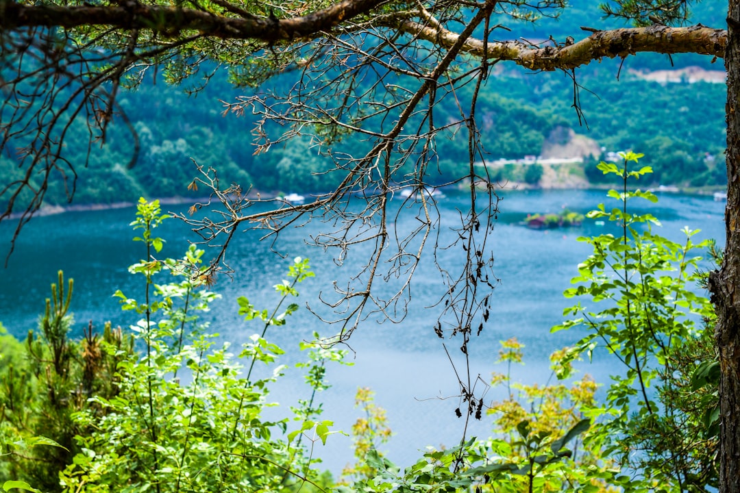 Watercourse photo spot Vacha Rhodope Mountains