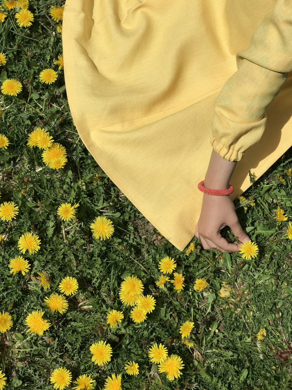 person in brown pants standing on yellow flower field during daytime