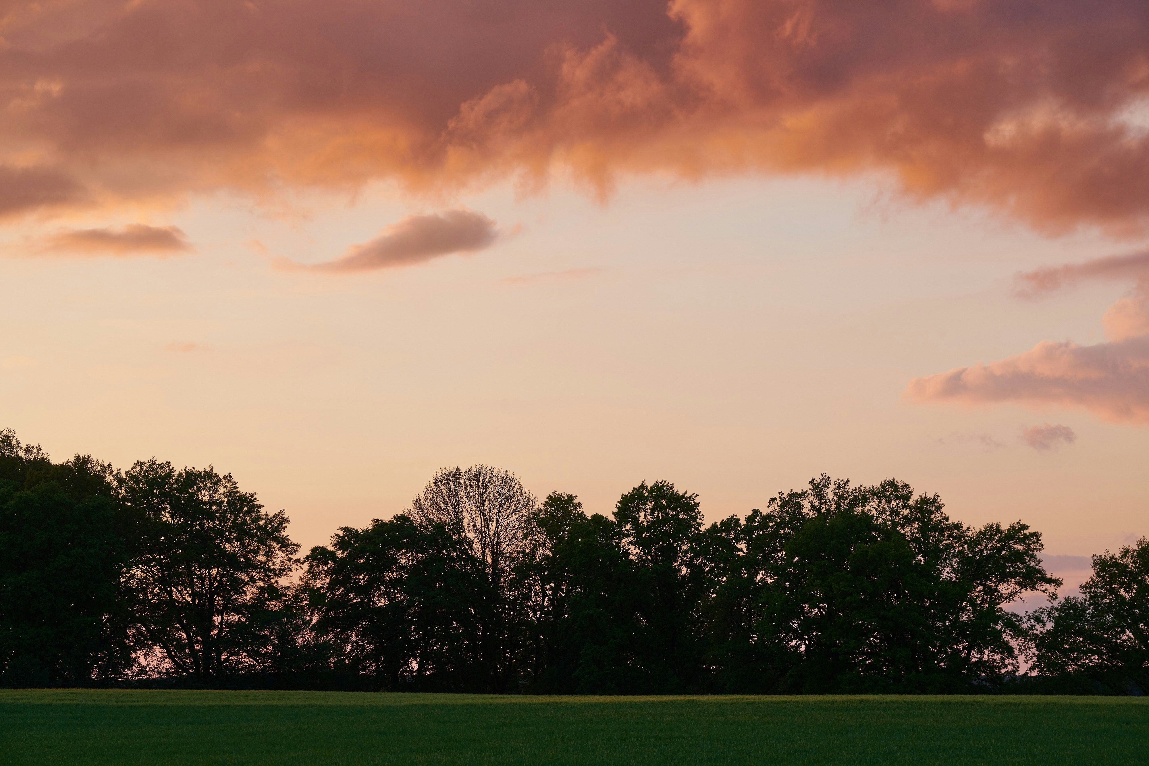 Photo by johnygoerend