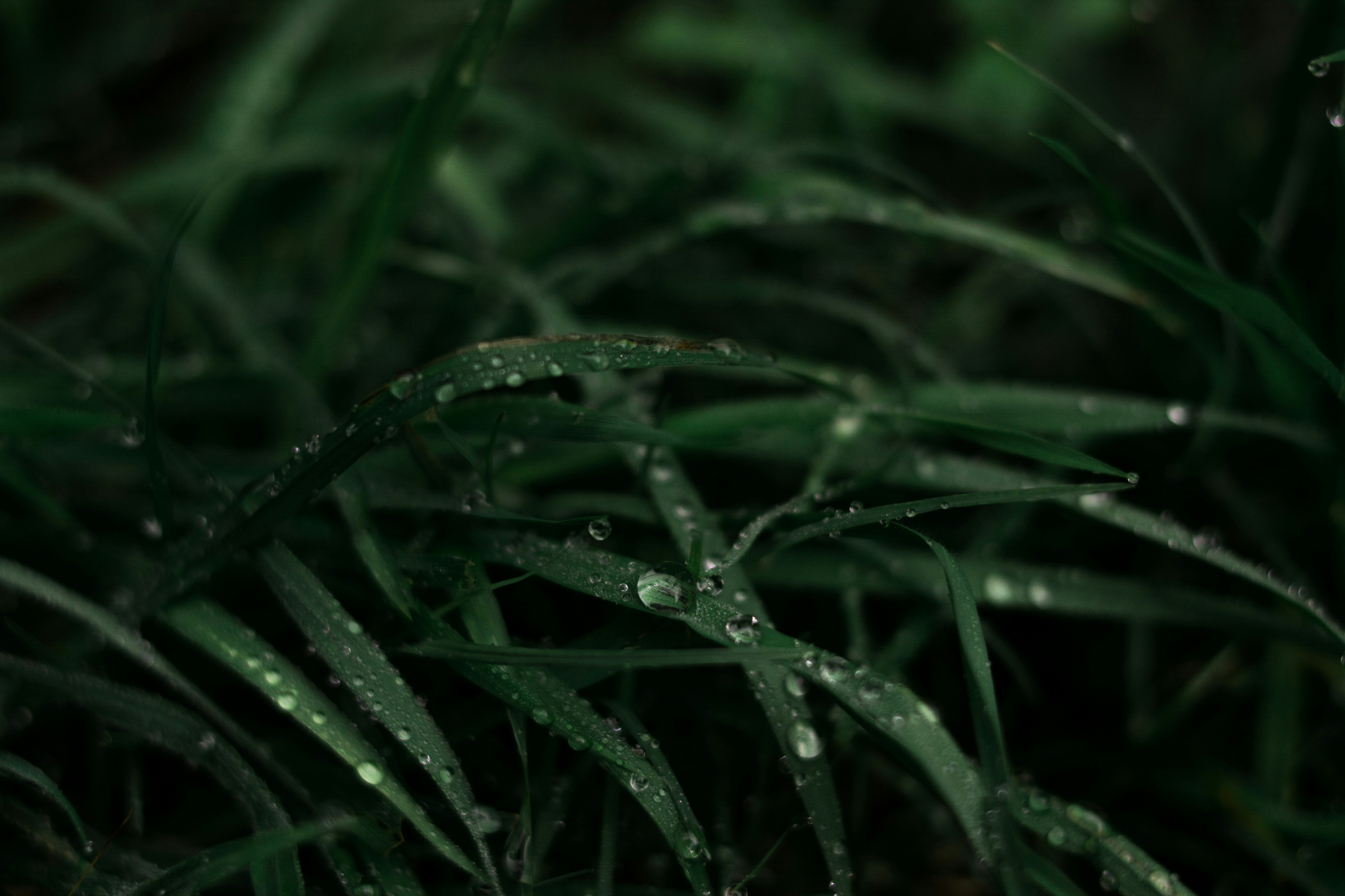 Photo by faustomarques