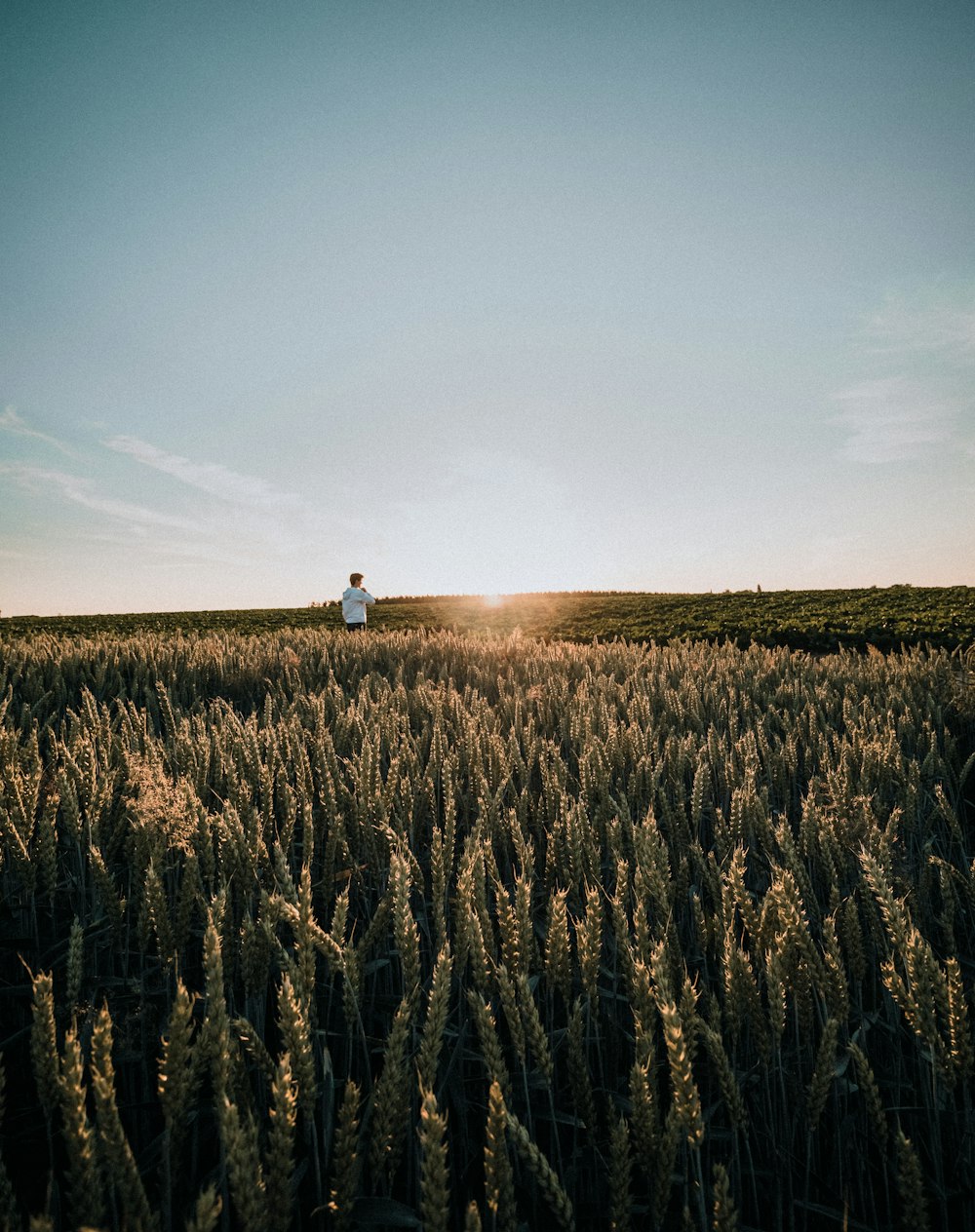 person in white shirt standing on brown grass field during daytime