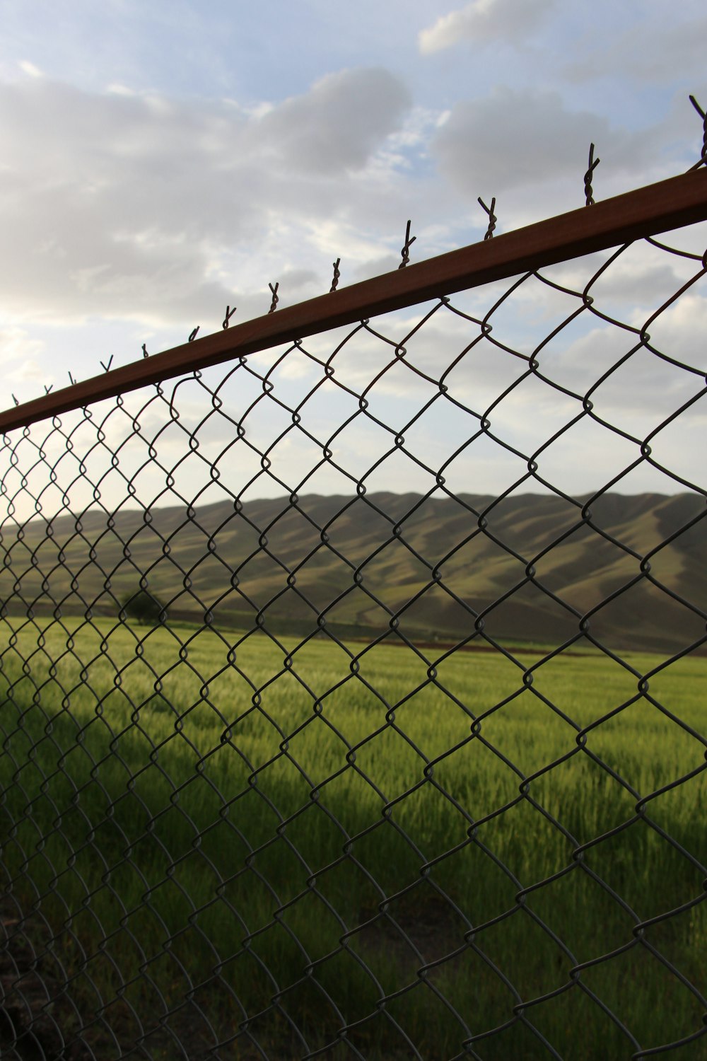 grey metal fence near green grass field during daytime