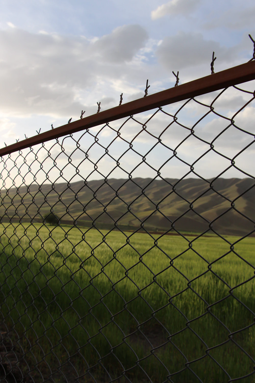 Expert fence repairs, big or small