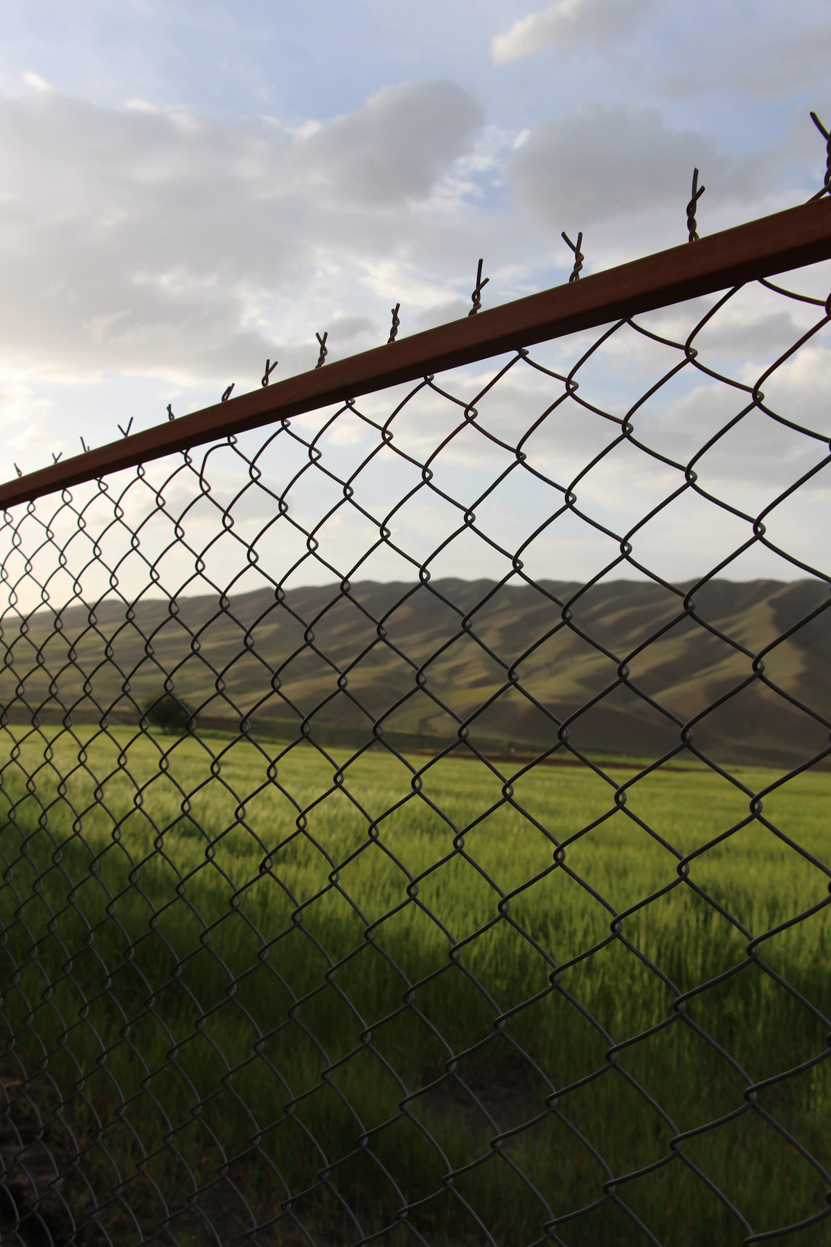 Metal and Chain Link