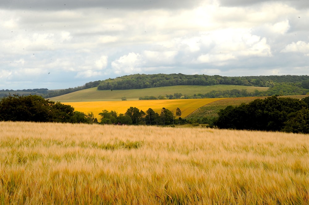 green grass field near green mountains during daytime