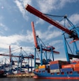 red and blue crane under blue sky during daytime