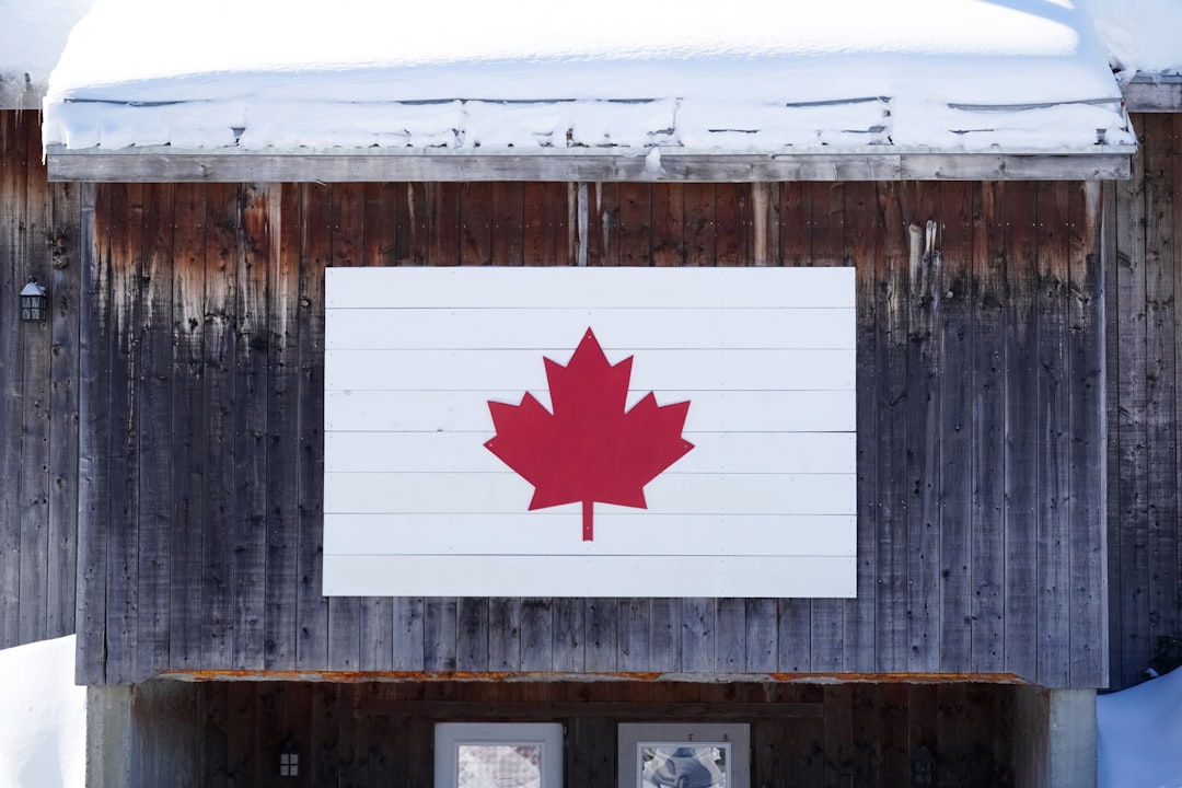 white and red star flag on brown wooden wall