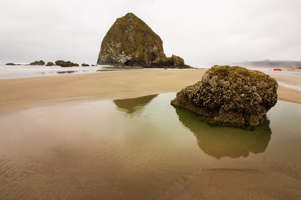 brown rock formation on sea shore during daytime