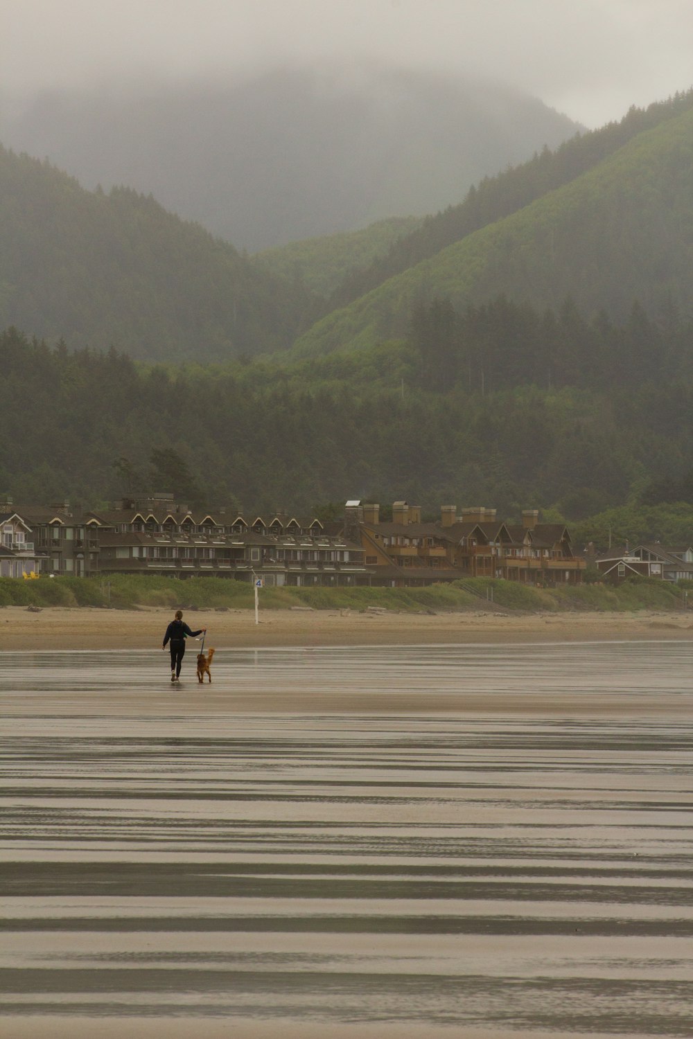 2 people walking on gray sand during daytime